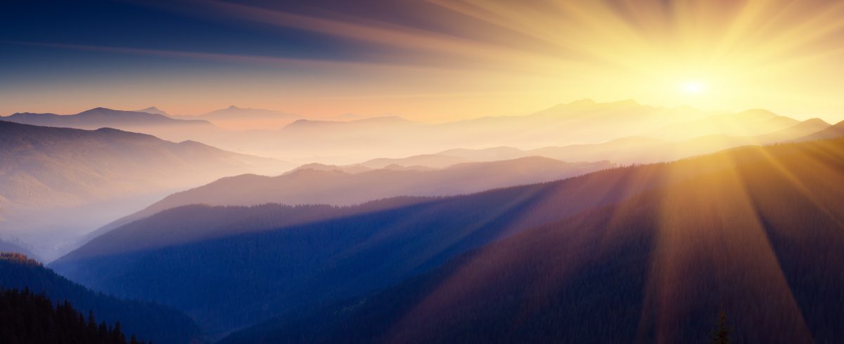 The Waking